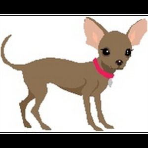 Meet your Posher, Gilma